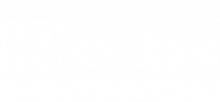 Xledger